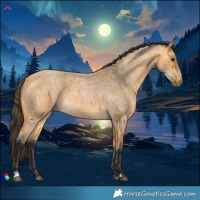 Horse Color:Buckskin Roan 