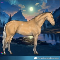 Horse Color:Silver Buckskin