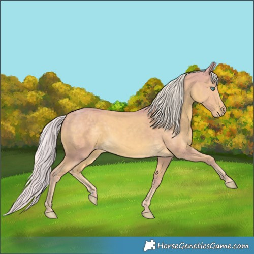 Horse Color:Watercolor Cremello 