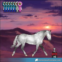 Horse Color:Powder White Gray Silver Smoky Black Frame  and Powder White Gray Silver Smoky Black 
