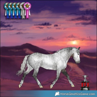 Horse Color:Powder White Gray Silver Smoky Black Frame and Powder White Gray Silver Smoky Black