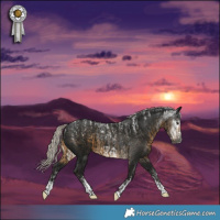 Horse Color:Powder White Gray Silver Smoky Black Frame  and Powder White Gray Silver Smoky Black 