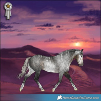 Horse Color:Powder White Gray Silver Smoky Black Frame  and Powder White Gray Silver Smoky Black 