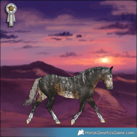 Horse Color:Powder White Gray Silver Smoky Black Frame  and Powder White Gray Silver Smoky Black 