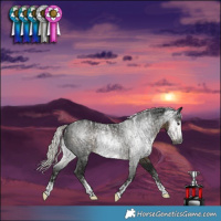 Horse Color:Powder White Gray Silver Smoky Black Frame  and Powder White Gray Silver Smoky Black 