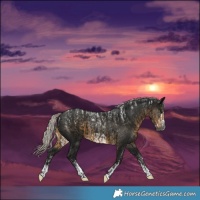 Horse Color:Powder White Gray Silver Smoky Black Frame  and Powder White Gray Silver Smoky Black 