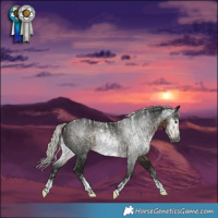 Horse Color:Powder White Gray Silver Smoky Black Frame  and Powder White Gray Silver Smoky Black 