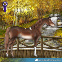 Horse Color:Liver Chestnut Tobiano Rabicano