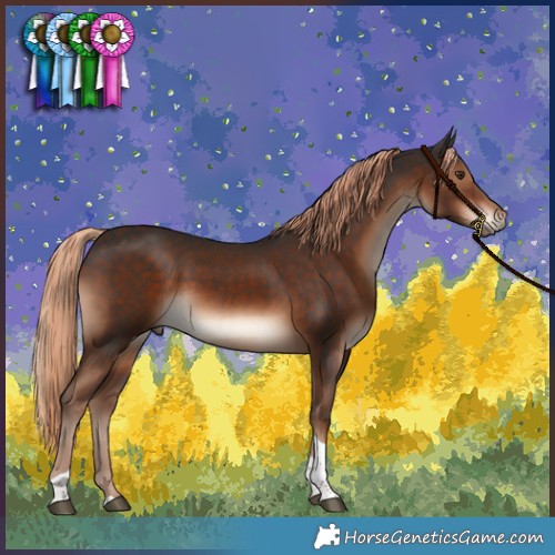 Horse Color:Liver Chestnut Tobiano Rabicano
