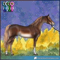 Horse Color:Liver Chestnut Tobiano Rabicano