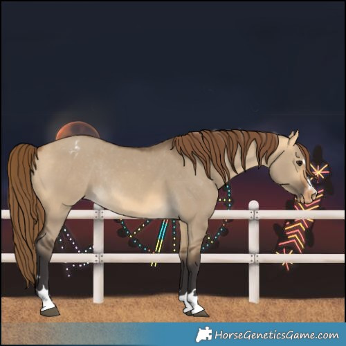 Horse Color:Buckskin Dun Varnish Rabicano 