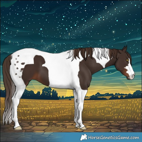 Horse Color:Liver Chestnut Tobiano 