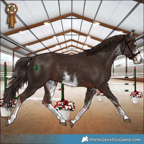 Horse Color:White Spotted Liver Chestnut Rabicano 