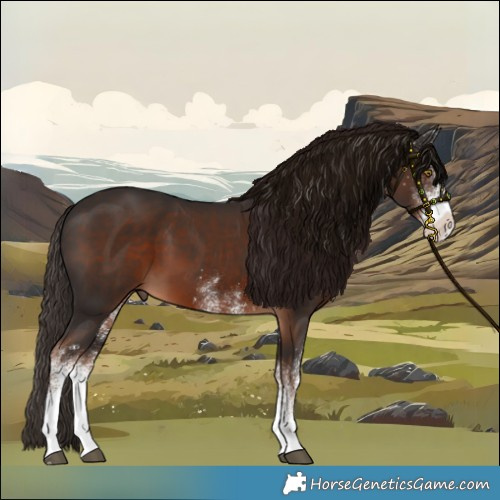 Horse Color:White Spotted Liver Chestnut