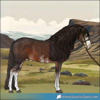 Horse Color:White Spotted Liver Chestnut 