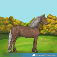 Horse Color:Silver Black 