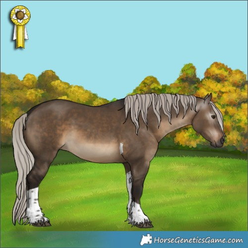 Horse Color:Gray Silver Bay Dun Tobiano 