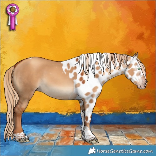 Horse Color:Gray Gold Champagne Dun Tobiano Skewed Appaloosa 