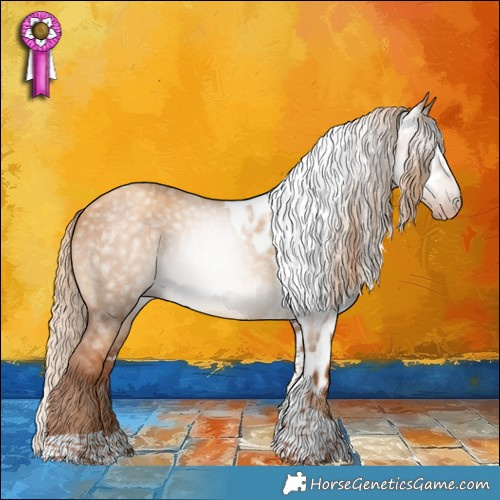 Horse Color:Gray Gold Champagne Dun Tobiano Skewed LP Spotted 