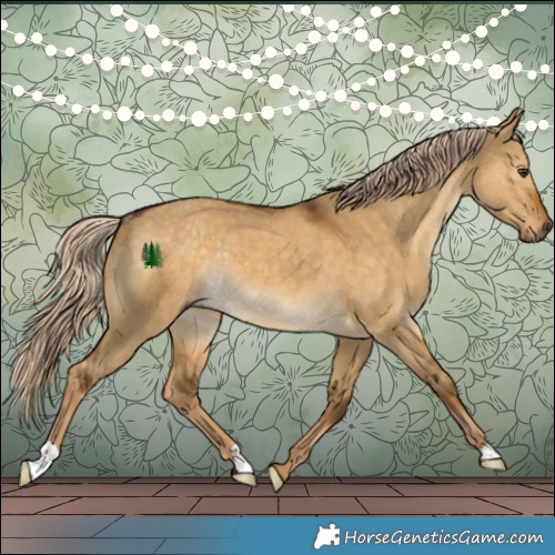 Horse Color:Chocolate Palomino Dun Rabicano 