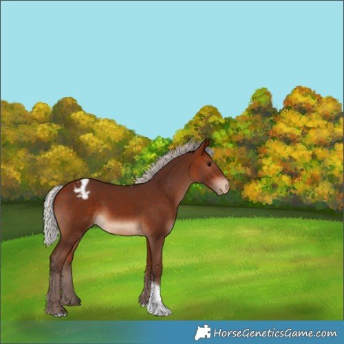 Horse Color:Silver Bay Tobiano Blanket 