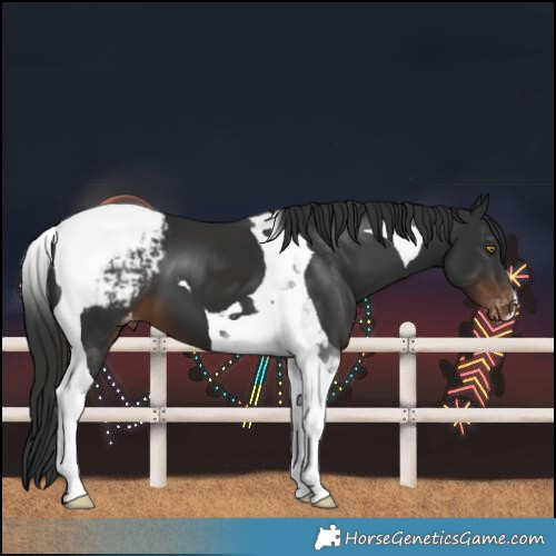 Horse Color:Liver Chestnut Tobiano Varnish 