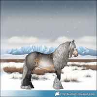Horse Color:Gray White Spotted Silver Buckskin Tobiano 