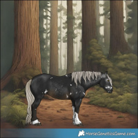 Horse Color:Gray White Spotted Silver Buckskin Tobiano 