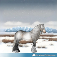 Horse Color:Gray White Spotted Silver Buckskin Tobiano 