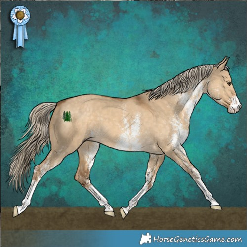 Horse Color:White Spotted Chocolate Palomino Dun 