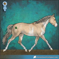Horse Color:White Spotted Chocolate Palomino Dun 