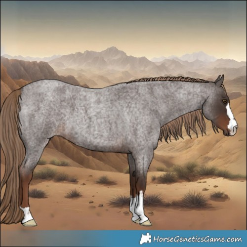 Horse Color:Liver Red Roan 