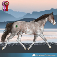 Horse Color:White Spotted Liver Red Roan