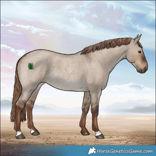 Horse Color:Liver Red Dun Roan