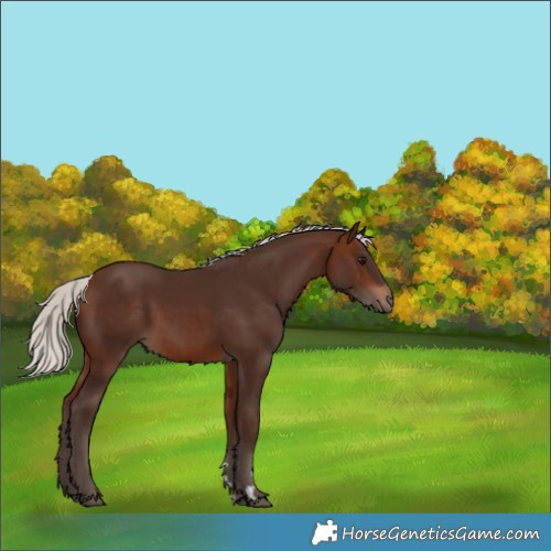 Horse Color:Silver Brown 