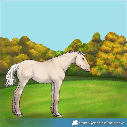Horse Color:Silver Sable Champagne Dun