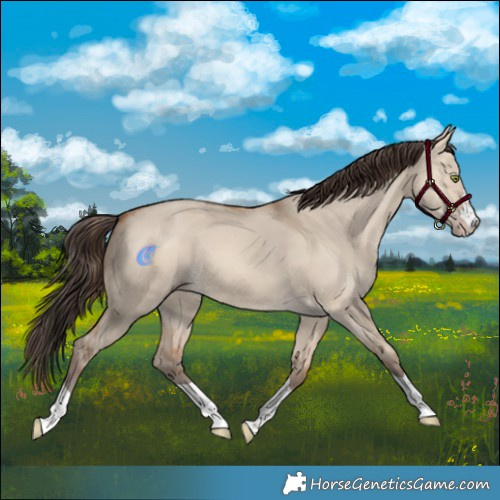 Horse Color:Amber Champagne Dun