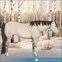Horse Color:Sable Champagne Dun