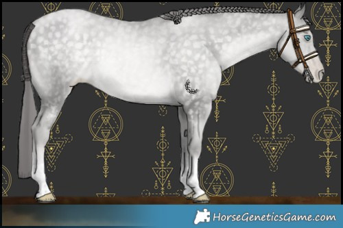 Horse Color:Platinum Buckskin Pearl Mushroom