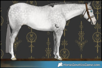 Horse Color:Platinum Buckskin Pearl Mushroom 