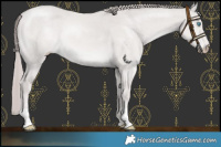 Horse Color:Platinum Smoky Creme Dun Mushroom