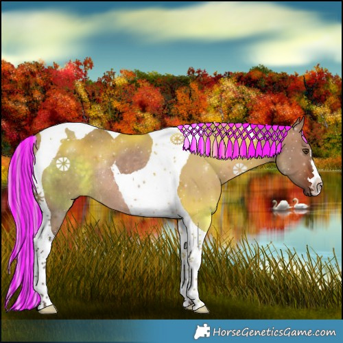 Horse Color:Painted Silver Brown Dun Tobiano Rabicano 