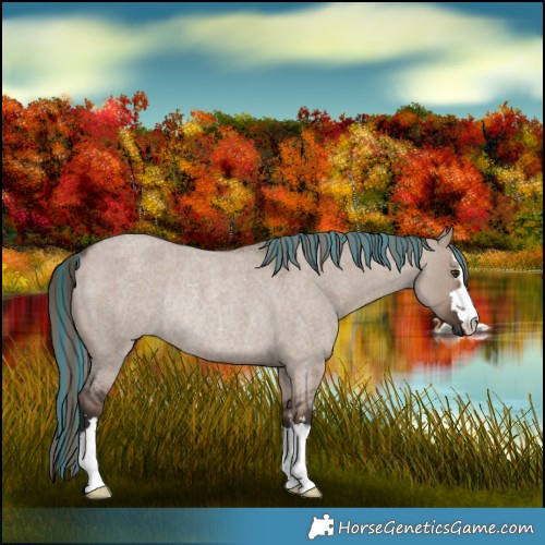 Horse Color:Painted Liver Red Dun Roan Mushroom Rabicano 