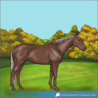 Horse Color:Silver Black 