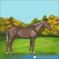 Horse Color:Silver Black