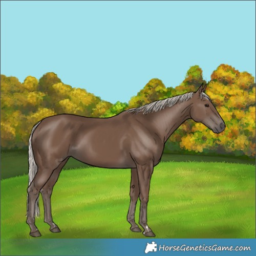 Horse Color:Silver Black 