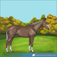 Horse Color:Silver Black 