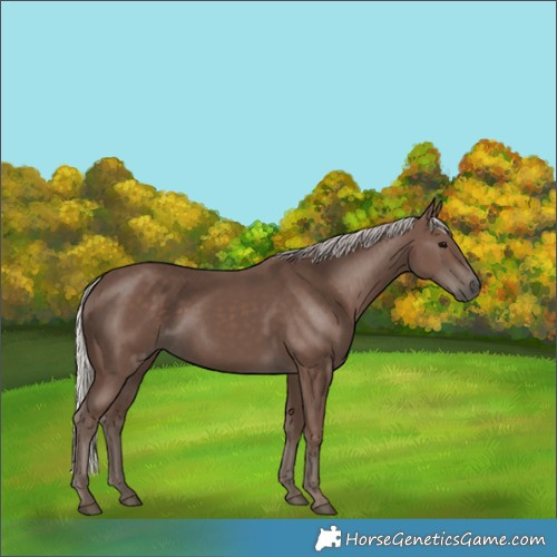 Horse Color:Silver Black 