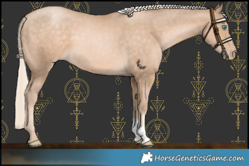 Horse Color:Chocolate Palomino Pearl 