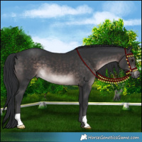 Horse Color:Platinum Brown
